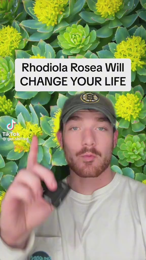 RHODIOLA ROSEA
