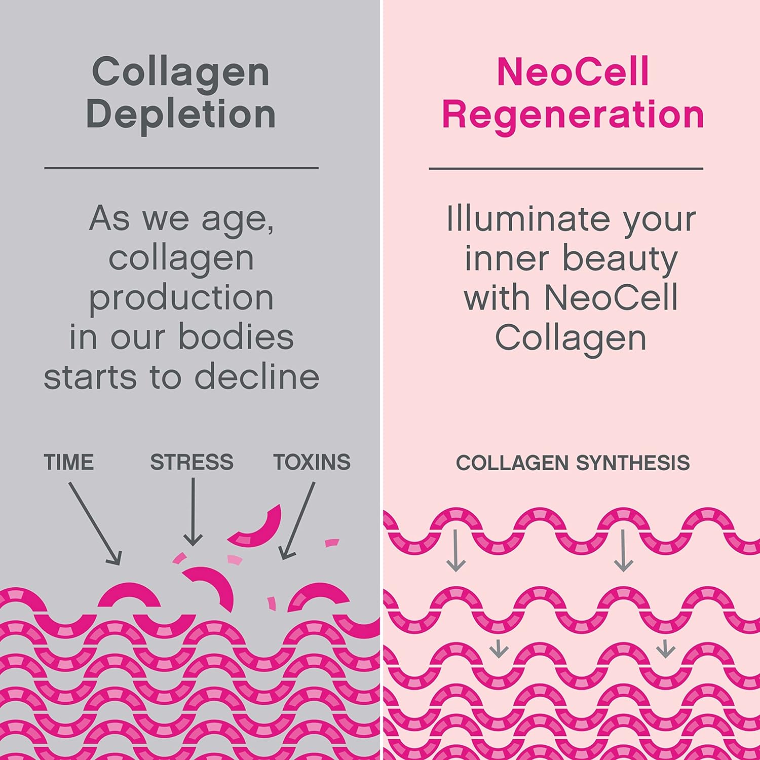 MARINE COLLAGEN POWDER